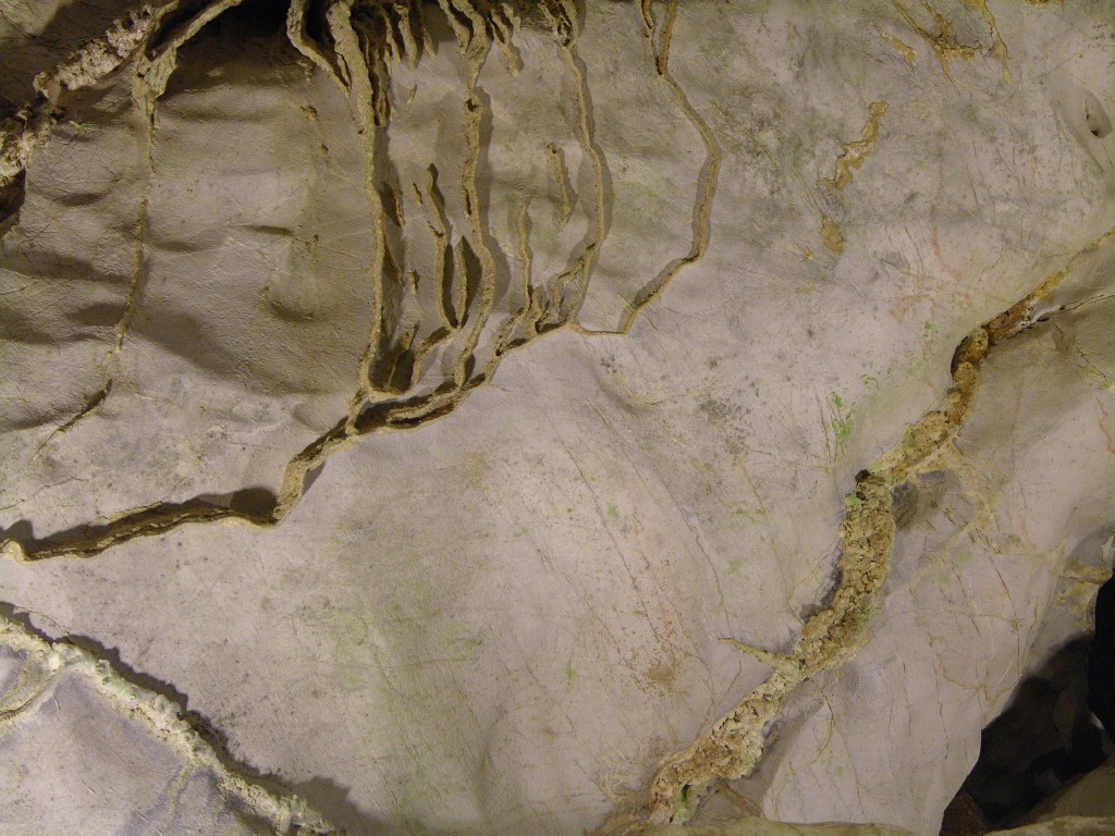 dscn4485.jpg