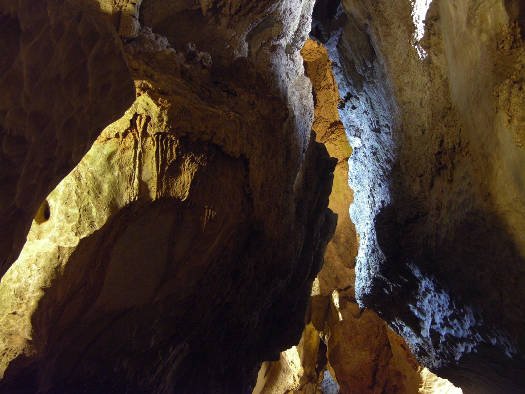dscn4492.jpg