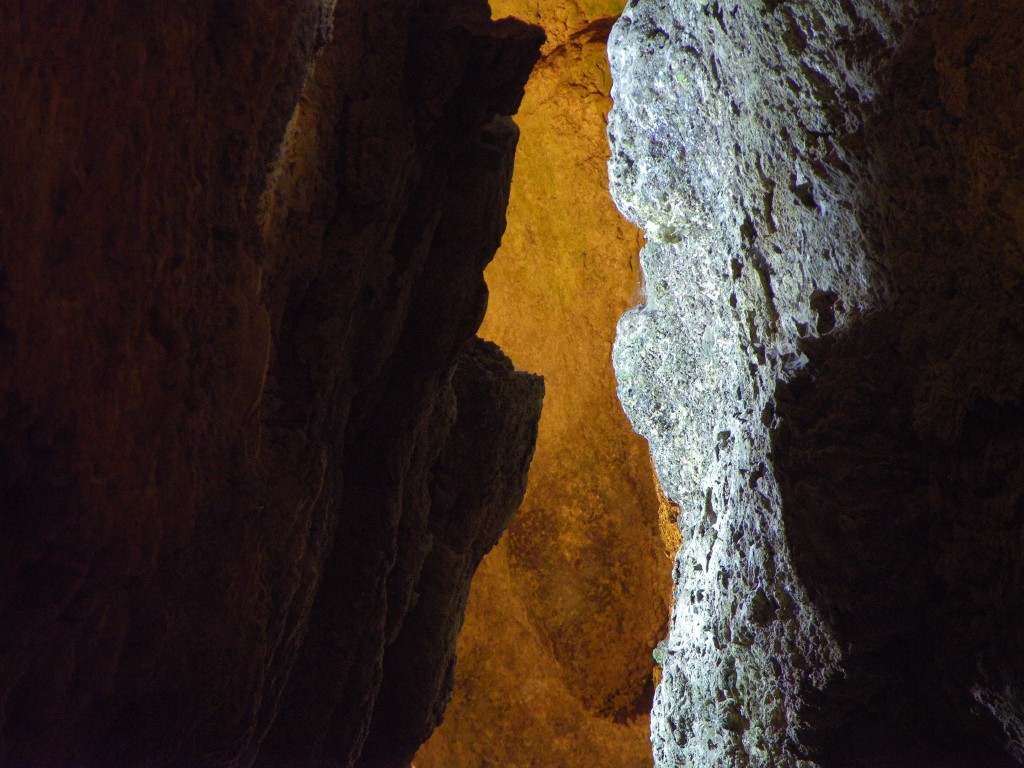 dscn4494.jpg