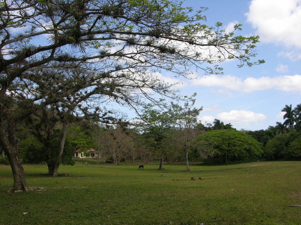 dscn4505.jpg