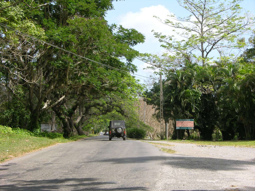 dscn4506.jpg