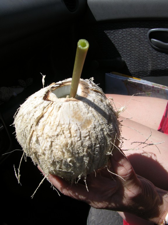 dscn4508.jpg