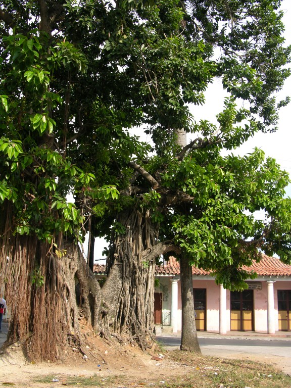 dscn4551.jpg