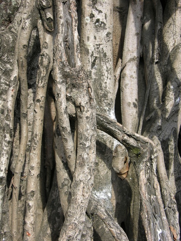 dscn4553.jpg