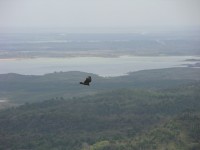 dscn4422.jpg