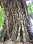 dscn4435.jpg