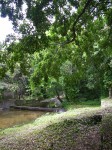 dscn4438.jpg
