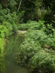 dscn4439.jpg