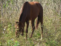 dscn4441.jpg