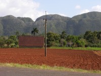 dscn4444.jpg