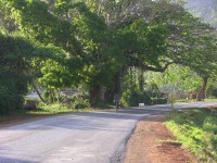 dscn4446.jpg