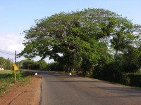 dscn4447.jpg