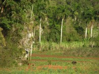 dscn4448.jpg