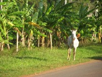 dscn4449.jpg