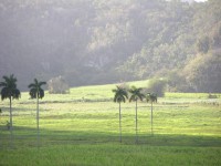 dscn4450.jpg