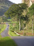 dscn4451.jpg