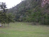 dscn4453.jpg