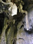 dscn4461.jpg