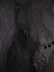 dscn4463.jpg