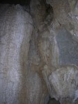 dscn4464.jpg