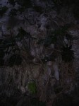 dscn4469.jpg
