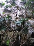 dscn4470.jpg