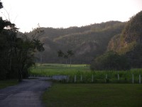 dscn4471.jpg