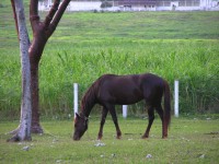 dscn4472.jpg