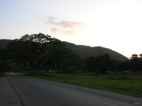 dscn4473.jpg