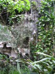 dscn4478.jpg
