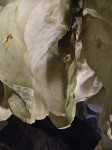 dscn4491.jpg