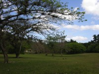 dscn4505.jpg