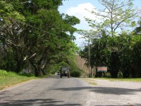 dscn4506.jpg
