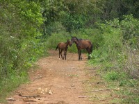 dscn4510.jpg