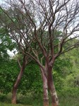 dscn4511.jpg