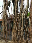 dscn4552.jpg