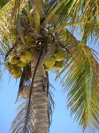 dscn4566.jpg