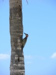 dscn4568.jpg