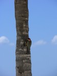 dscn4571.jpg