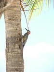 dscn4573.jpg