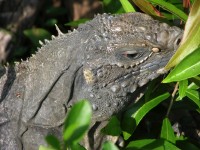 dscn4586.jpg