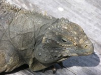 dscn4602.jpg