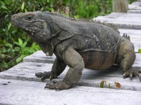 dscn4608.jpg