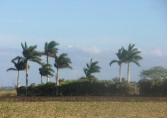 Fotos aus Trinidad, Playa Girón und La Boca