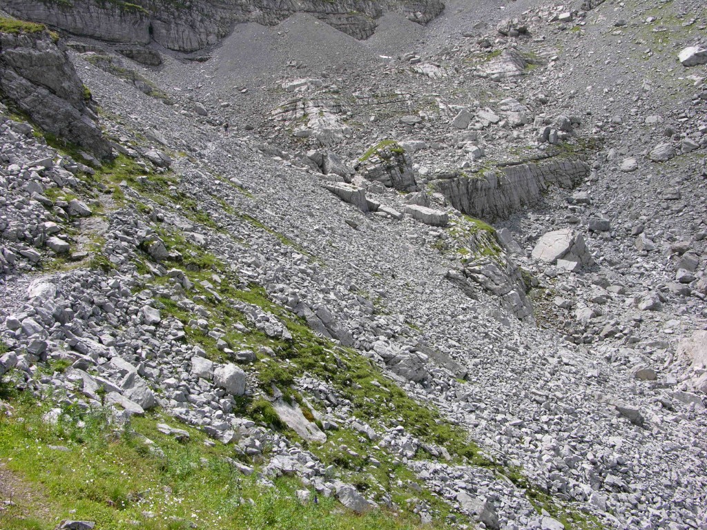 dscn0440.jpg