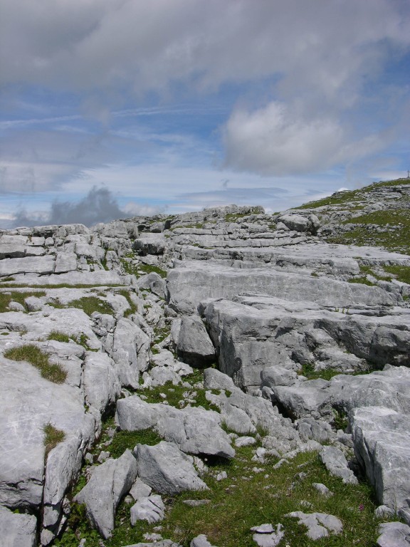 dscn0442.jpg