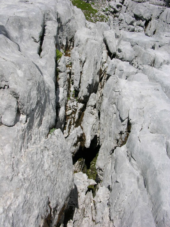 dscn0443.jpg
