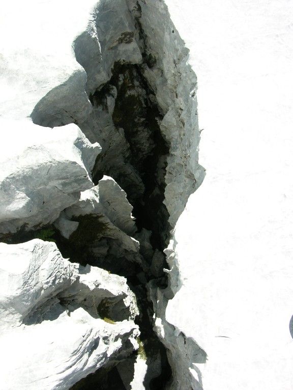 dscn0445.jpg