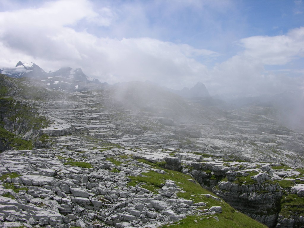 dscn0449.jpg