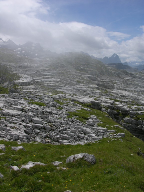 dscn0450.jpg